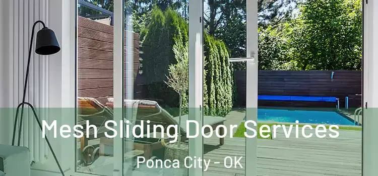 Mesh Sliding Door Services Ponca City - OK